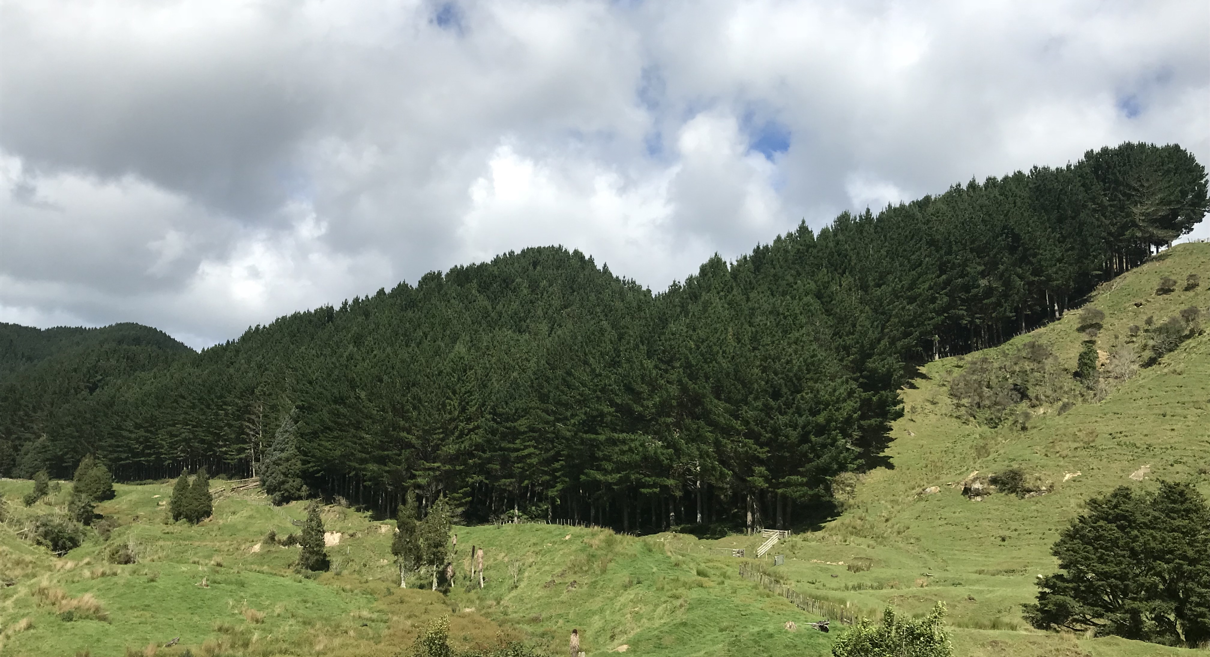 Arapito Partnership 9