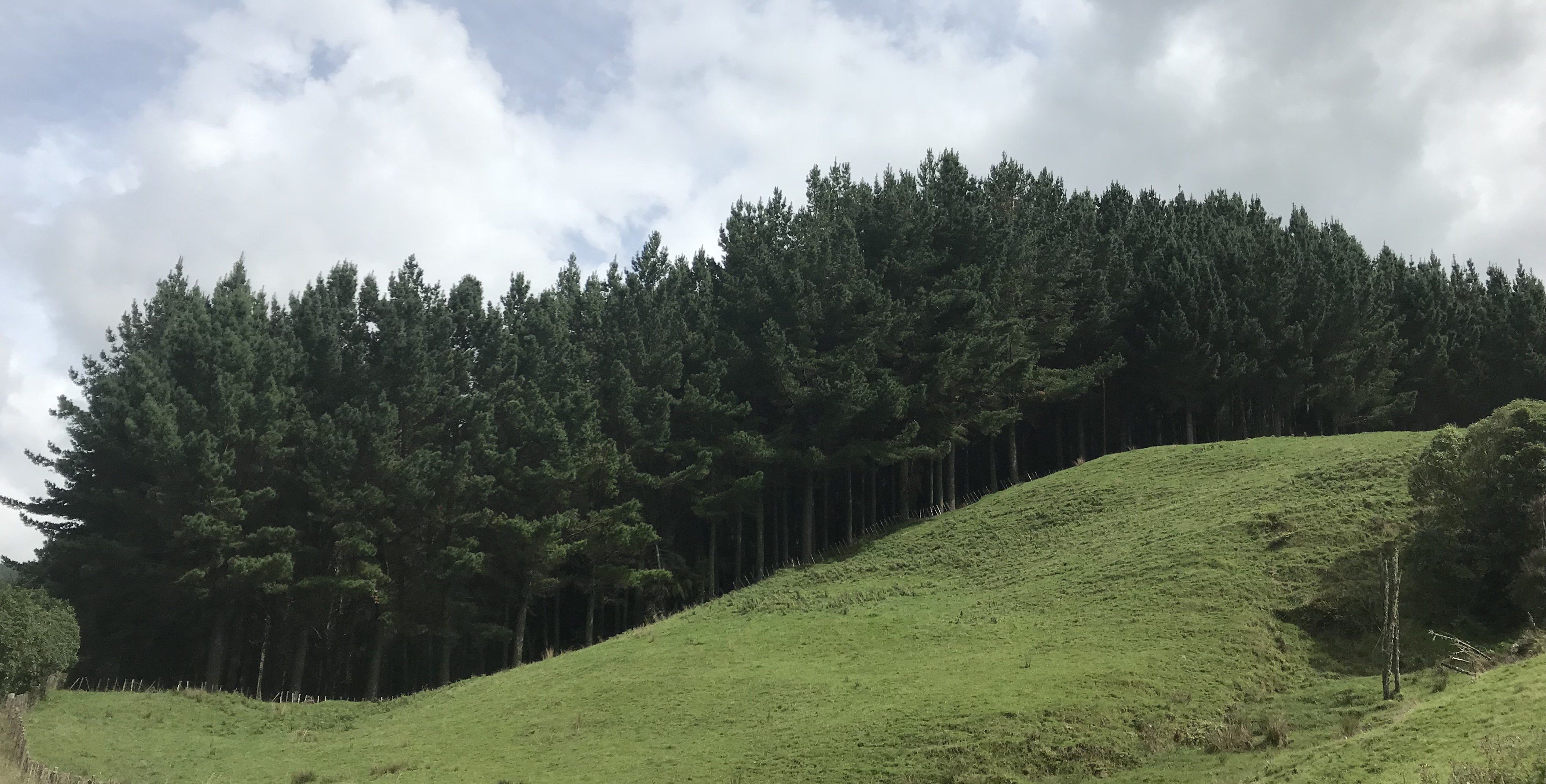 Aratoro Partnerships