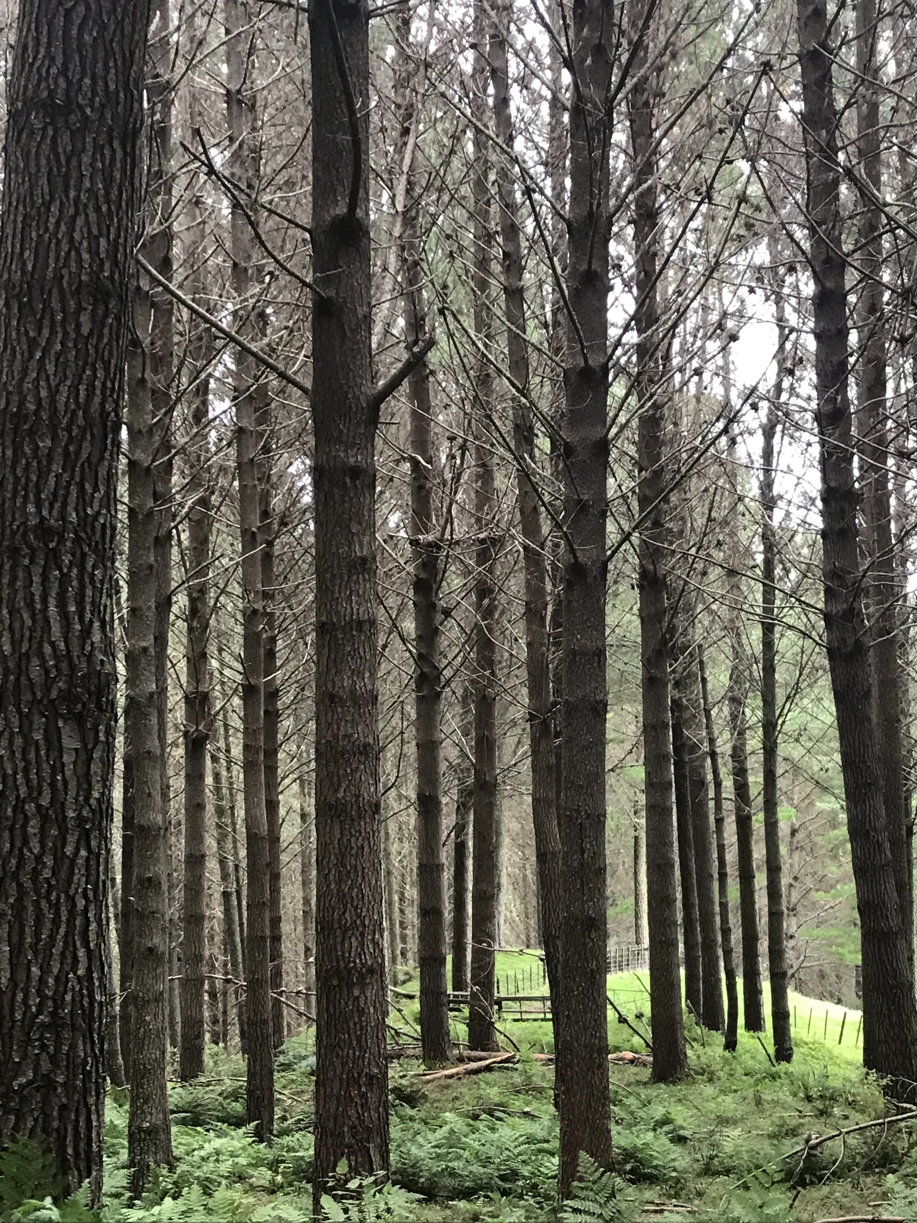 Brakeside Partnerships