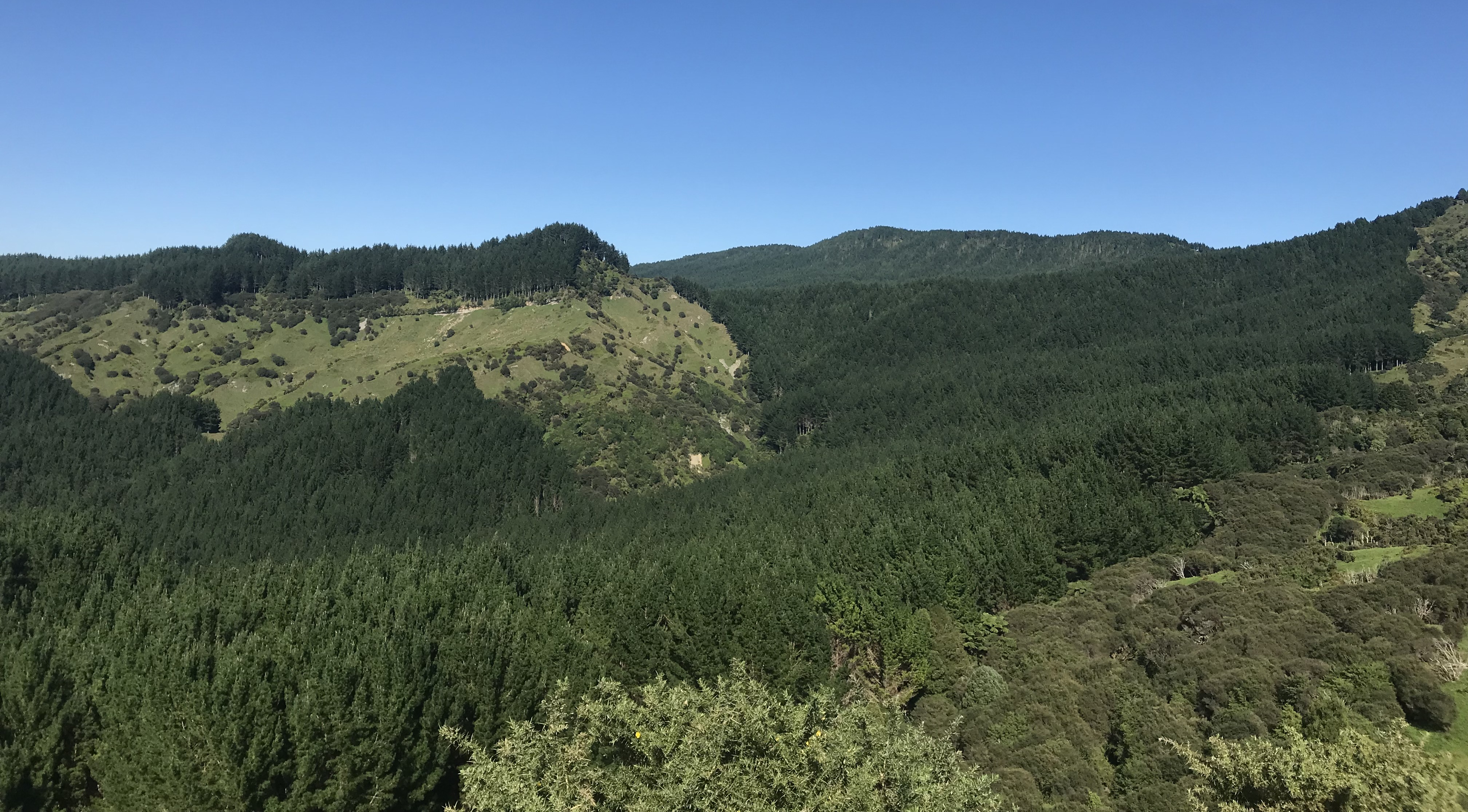 Clearwater Partnership