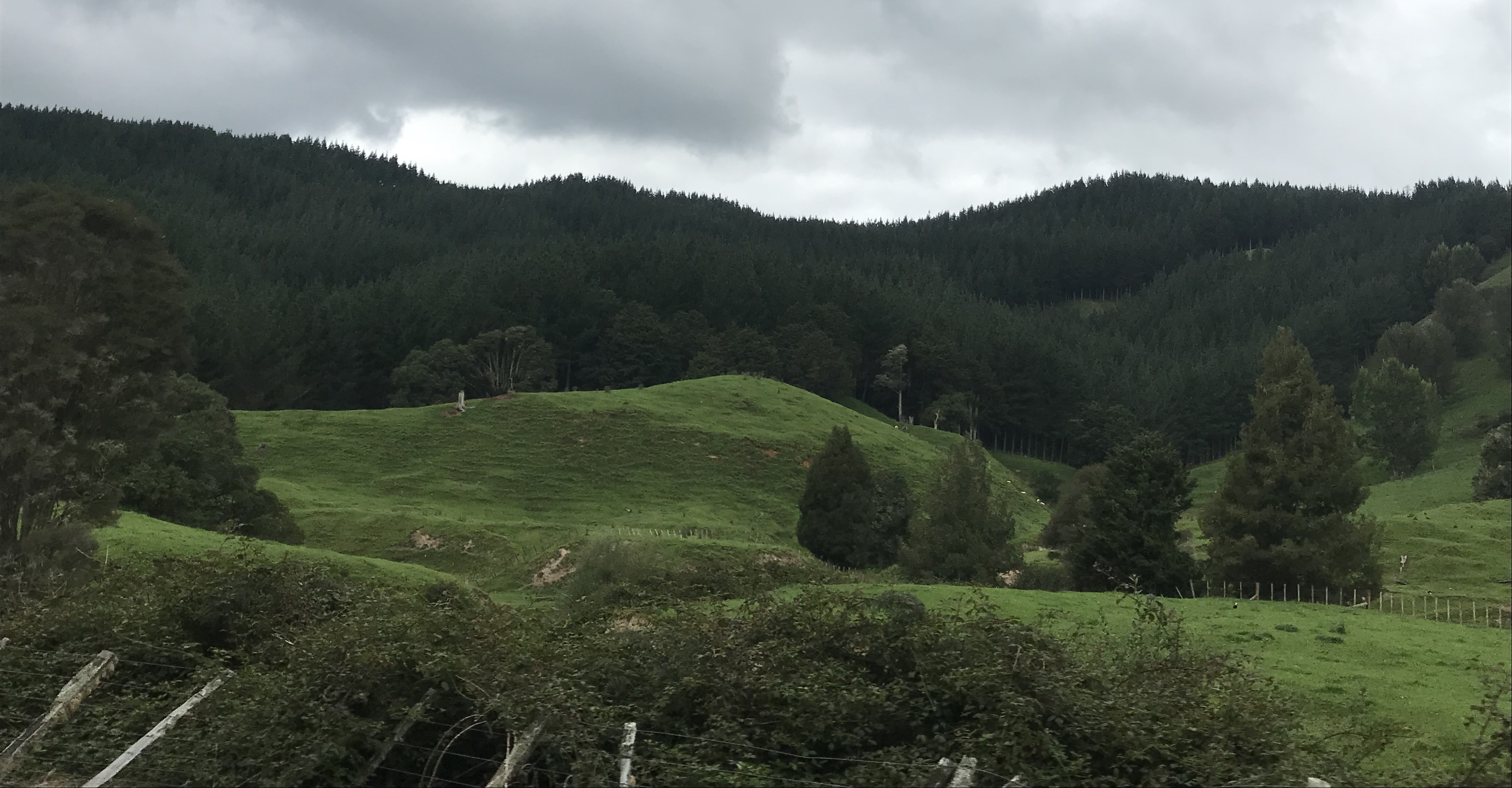 Ducksfield Partnership