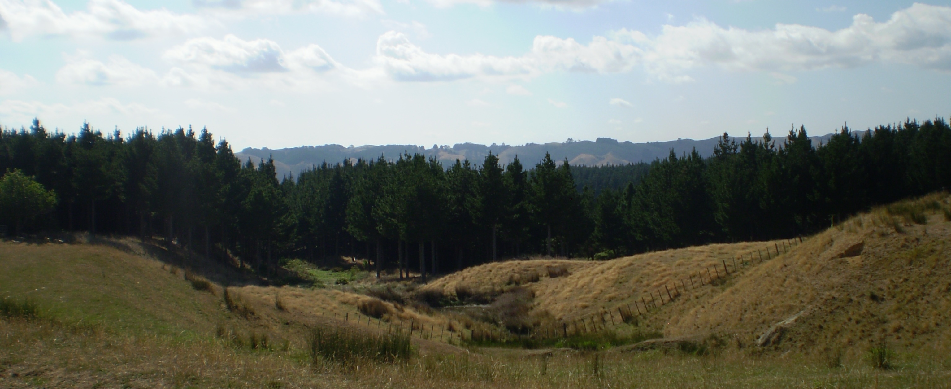 Dunmore West Partnership