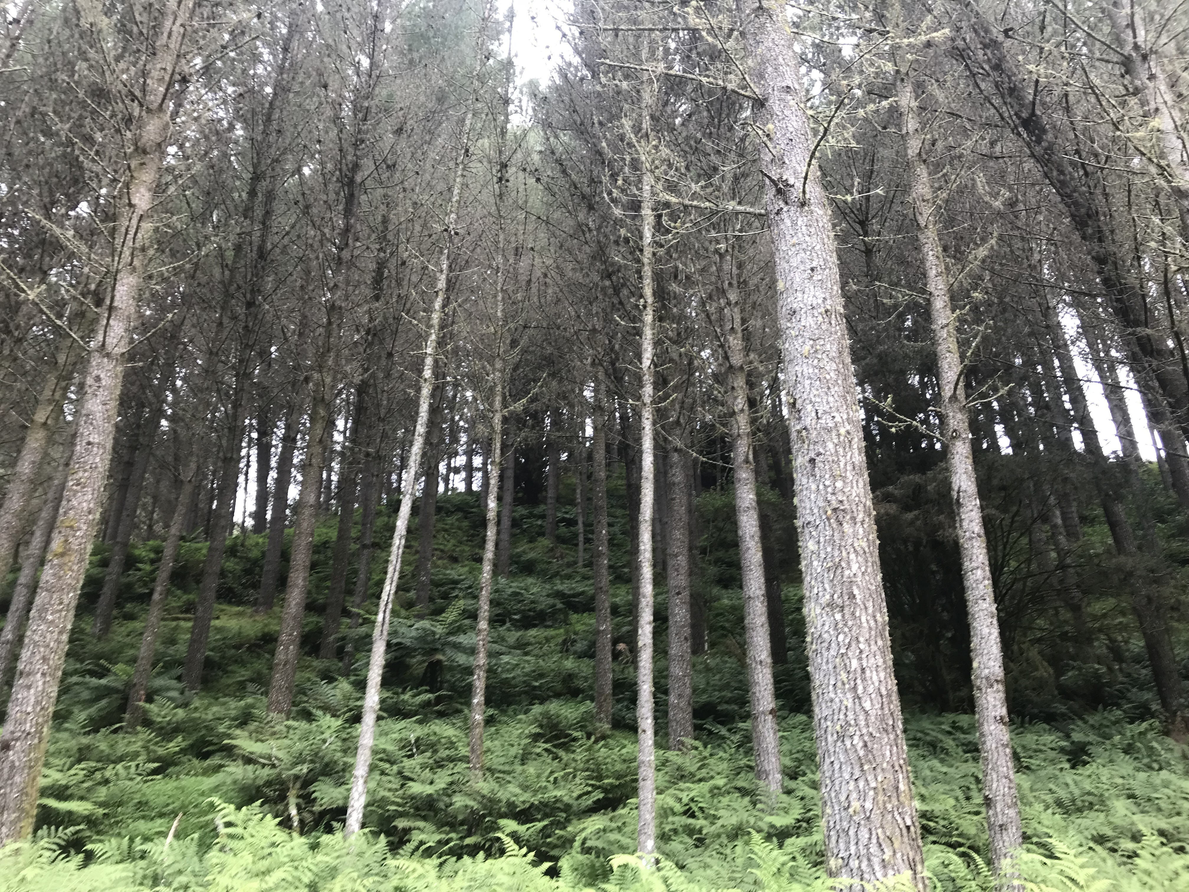 Slab Hut Partnership 22