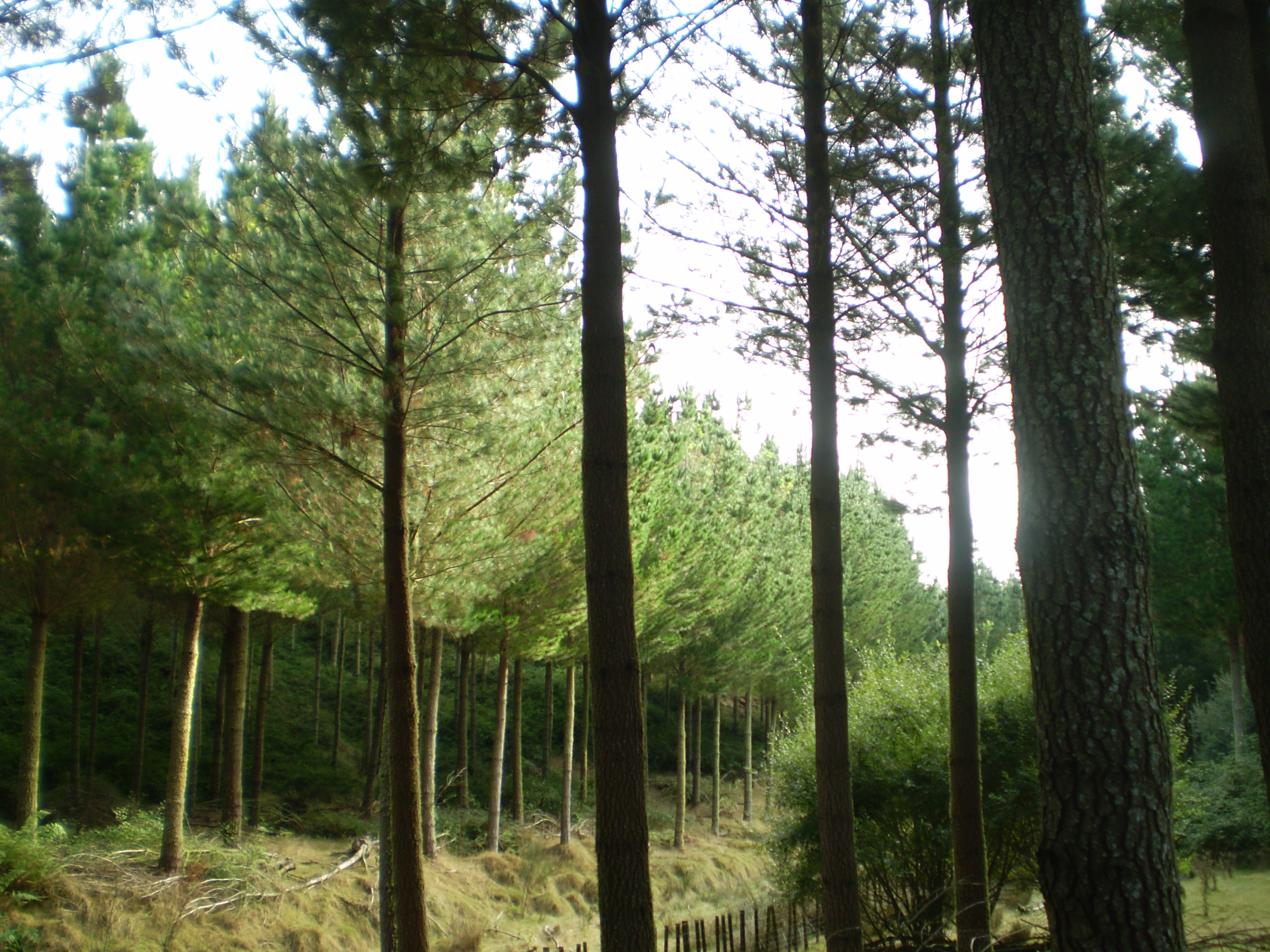 Twin Rivers Partnership