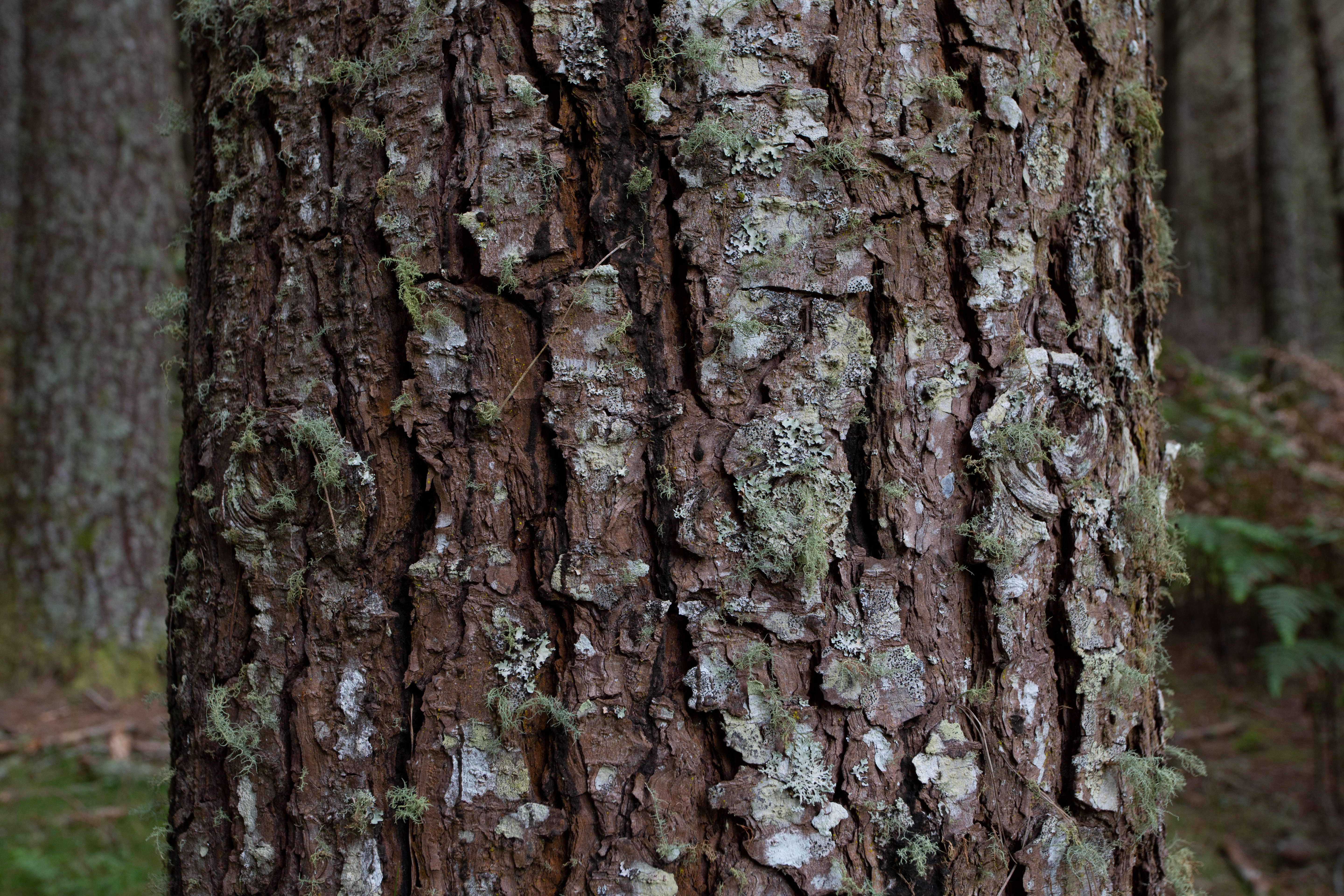 Protection If Things Go Wrong